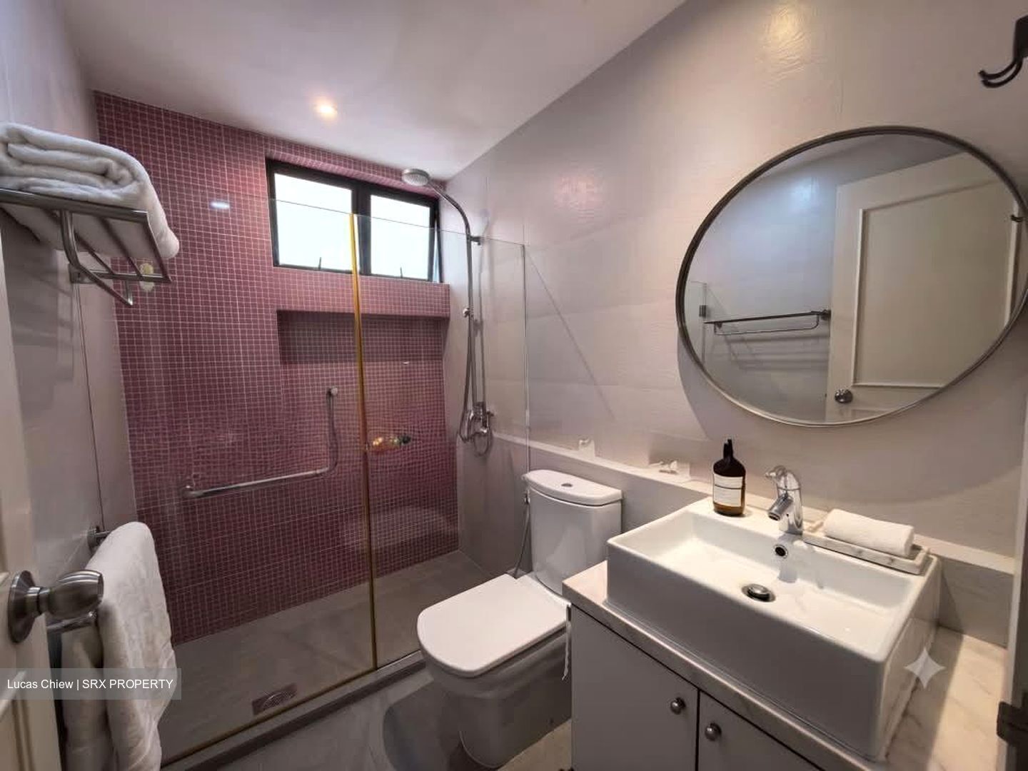 Tanglin Park (D10), Condominium #583773601